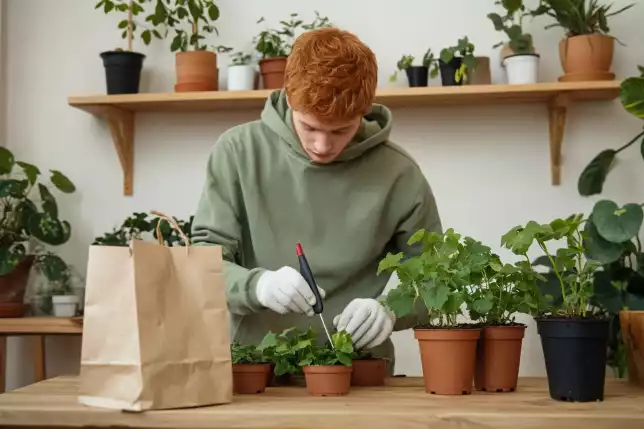 Essential Tools and Materials for Starting a Kitchen Herb Garden