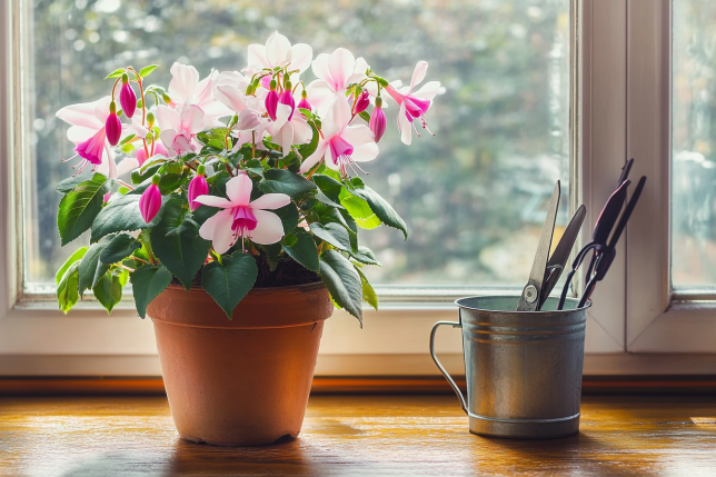 Best Low-Maintenance Perennial Flowers for Shade