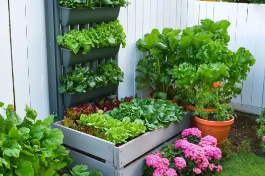 How to Start a Simple and Productive Container Vegetable Garden