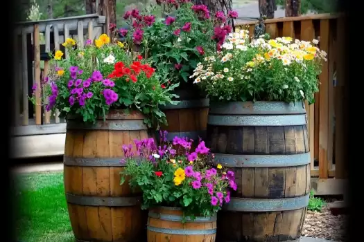 Repurposed Old Wine Barrel Ideas for the Garden