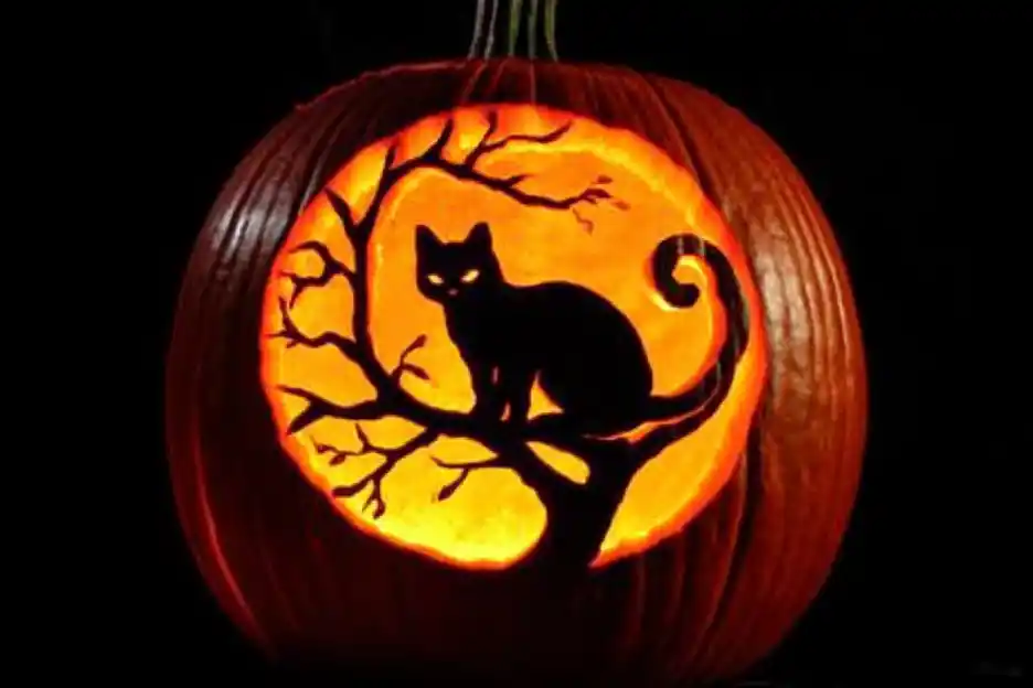 Carved pumpkin with a silhouette of a cat sitting on a tree branch against a glowing moon.