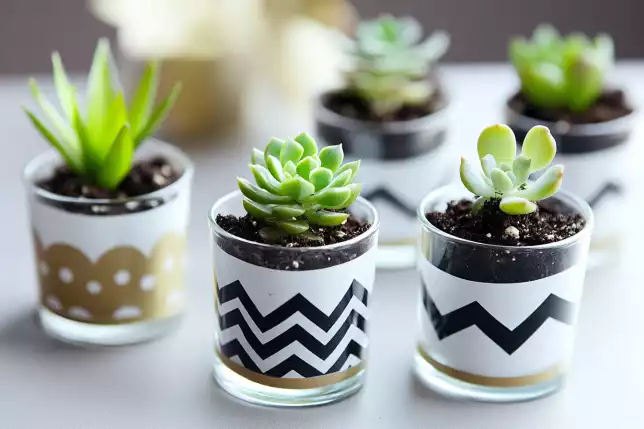 1. Creative and Unique Succulent Decor Ideas