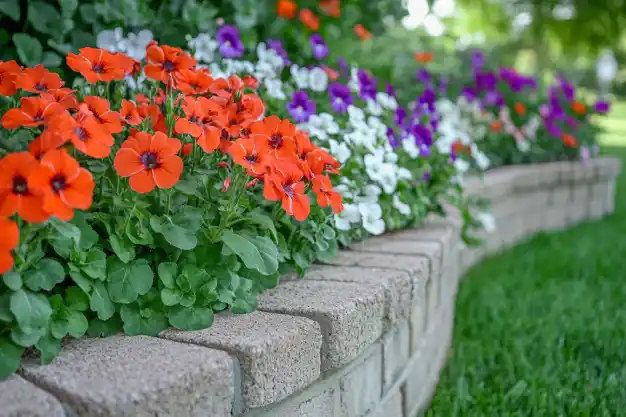 Colorful flowers, including vibrant orange, white, and purple blooms, arranged in a neatly landscaped brick flower bed