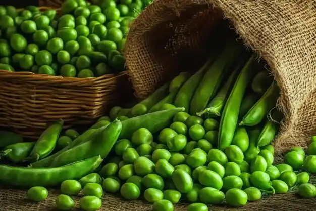 Fresh green peas spilling out of a burlap sack, accompanied by a basket filled with vibrant green peas, creating a rustic and organic presentation.