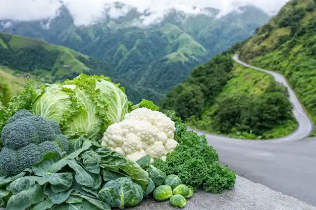 An assortment of fresh green vegetables, including broccoli, cabbage, cauliflower, kale, and Brussels sprouts, placed on a stone surface with a scenic background of winding mountain roads and lush green hills under a cloudy sky