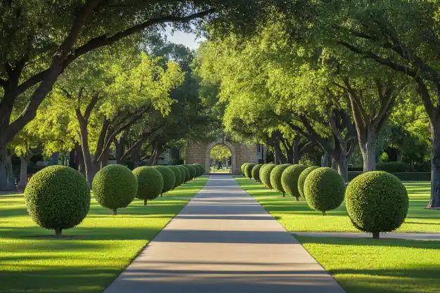 A scenic pathway lined with evenly spaced spherical topiary trees, leading to an archway surrounded by a tranquil garden.