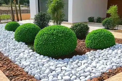 Modern garden design with round green shrubs, white decorative stones, and earthy brown pebbles for a clean, contemporary look.