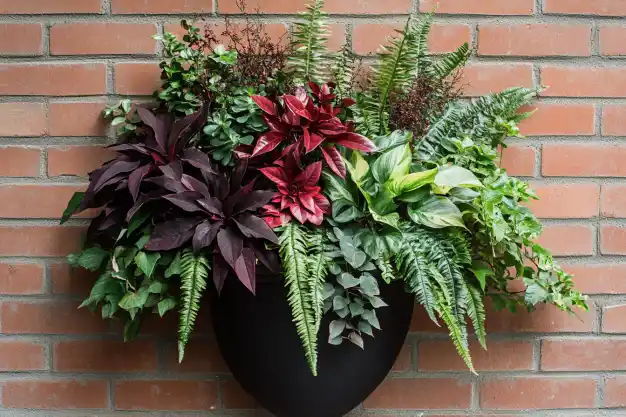 A vibrant, wall-mounted planter brimming with ferns, ivy, and deep burgundy leaves, creating a lush green and red display against a brick wall.