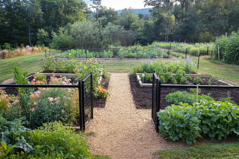 A well-organized enclosed garden featuring wooden gates and fencing, lush flower beds with bright pink and red blooms, and thriving vegetable plots. Mulch pathways wind through the garden, leading to various sections, surrounded by a backdrop of dense forest. The mix of ornamental plants and productive vegetables highlights a harmonious and sustainable outdoor space.