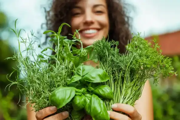 A woman holding fresh herbs like basil and parsley from the garden.