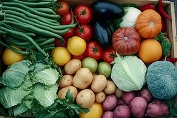 A mix of fresh vegetables like tomatoes, beans, and potatoes in a crate.