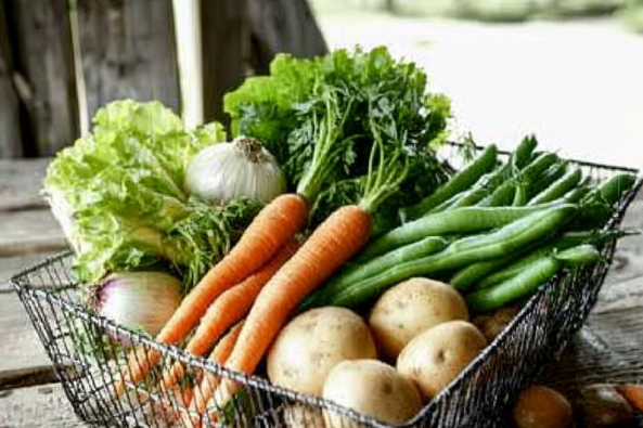 A wire basket filled with freshly harvested vegetables, including carrots, potatoes, green beans, lettuce, garlic, and parsley, placed on a rustic wooden surface with a natural outdoor background.