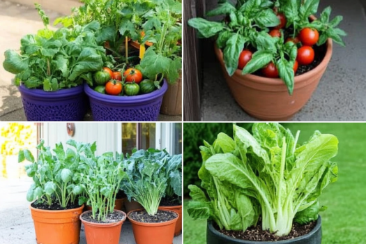 9 Vegetables That Grow in Pots/Containers – Perfect for Indoor