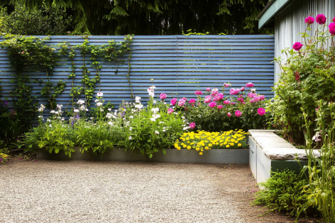 A vibrant garden with colorful flowers including pink, white, and yellow blooms, set against a modern blue slatted fence, creating a serene backyard space.