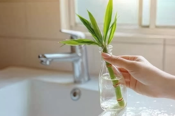 A hand gently holding a small glass bottle filled with water, containing a fresh green lucky bamboo stalk with multiple leaves. The setting is a bathroom sink with a modern silver faucet, and a window in the background allowing natural light to softly illuminate the scene. The image evokes a sense of tranquility and minimalist decor.