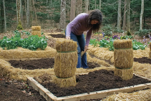 A woman working in a raised garden bed using straw bales for insulation and support. The garden is set in a wooded area, with rich soil and thriving plants surrounded by natural elements. The innovative setup promotes sustainable and organic gardening.